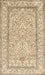 Traditional Khaki Gold Persian Rug, tr374