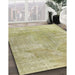 Traditional Copper Green Persian Rug in Family Room, tr3755