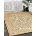 Machine Washable Traditional Brown Gold Rug in a Family Room, wshtr375