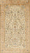 Traditional Brown Gold Persian Rug, tr375