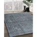 Machine Washable Traditional Light Slate Gray Rug in a Family Room, wshtr3774
