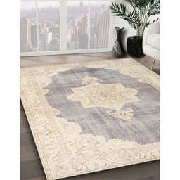Traditional Light French Beige Brown Persian Rug in Family Room, tr3775