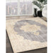 Machine Washable Traditional Light French Beige Brown Rug in a Family Room, wshtr3775