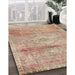 Traditional Rust Pink Medallion Rug in Family Room, tr3779