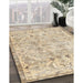 Machine Washable Traditional Khaki Gold Rug in a Family Room, wshtr3780