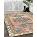 Traditional Brown Persian Rug in Family Room, tr3781