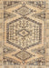 Machine Washable Traditional Dark Gold Brown Rug, wshtr3782