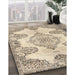 Machine Washable Traditional Dark Almond Brown Rug in a Family Room, wshtr3784