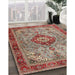 Traditional Light French Beige Brown Persian Rug in Family Room, tr3801