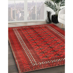 Traditional Red Persian Rug in Family Room, tr3808
