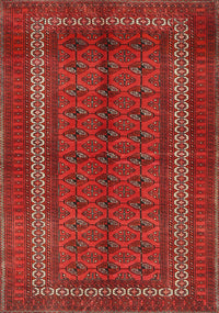 Machine Washable Traditional Red Rug, wshtr3808