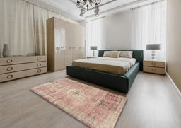 Traditional Orange Salmon Pink Persian Rug in a Bedroom, tr3811