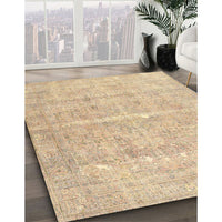 Traditional Brown Gold Persian Rug, tr3818