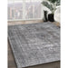 Machine Washable Traditional Grey Gray Rug in a Family Room, wshtr3819