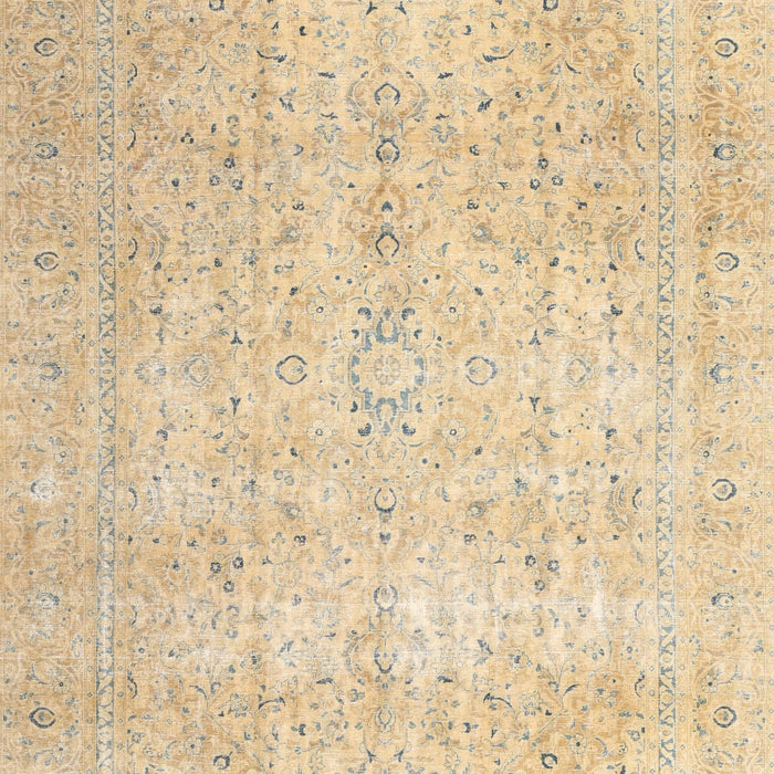 Traditional Brown Gold Persian Rug, tr3823