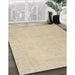 Machine Washable Traditional Brown Rug in a Family Room, wshtr3831