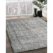 Machine Washable Traditional Granite Gray Rug in a Family Room, wshtr3833