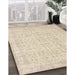 Traditional Light French Beige Brown Persian Rug in Family Room, tr3834