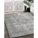 Machine Washable Traditional Grey Gray Rug in a Family Room, wshtr3838