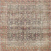 Square Traditional Light French Beige Brown Persian Rug, tr3839