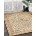 Machine Washable Traditional Khaki Gold Rug in a Family Room, wshtr383