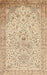 Machine Washable Traditional Khaki Gold Rug, wshtr383