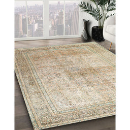 Traditional Brown Persian Rug in Family Room, tr3841