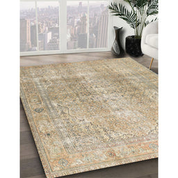 Traditional Brown Persian Rug in Family Room, tr3843