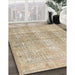 Machine Washable Traditional Brown Rug in a Family Room, wshtr3843