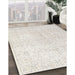 Machine Washable Traditional Pale Silver Gray Rug in a Family Room, wshtr3844