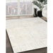 Machine Washable Traditional Dark White Beige Rug in a Family Room, wshtr3849