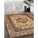 Traditional Dark Sienna Brown Medallion Rug in Family Room, tr384