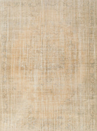 Machine Washable Traditional Brown Rug, wshtr3851