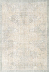 Machine Washable Traditional Pale Silver Gray Rug, wshtr3852