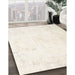 Machine Washable Traditional Champagne Beige Rug in a Family Room, wshtr3853