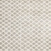 Square Traditional Champagne Beige Trellis Rug, tr3860