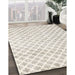 Traditional Champagne Beige Trellis Rug in Family Room, tr3860