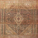 Square Traditional Saddle Brown Medallion Rug, tr3861