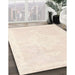 Machine Washable Traditional Desert Sand Beige Rug in a Family Room, wshtr3862