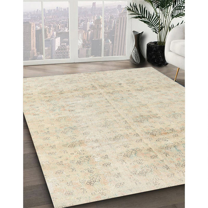 Traditional Light Gold Persian Rug in Family Room, tr3863