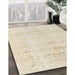 Machine Washable Traditional Light Gold Rug in a Family Room, wshtr3863