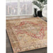 Traditional Rust Pink Persian Rug in Family Room, tr3866