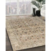 Machine Washable Traditional Dark Almond Brown Rug in a Family Room, wshtr3867