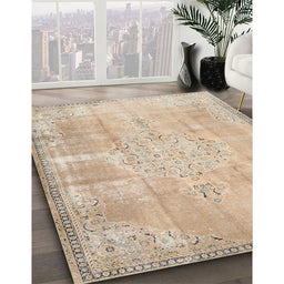 Traditional Brown Persian Rug in Family Room, tr3869