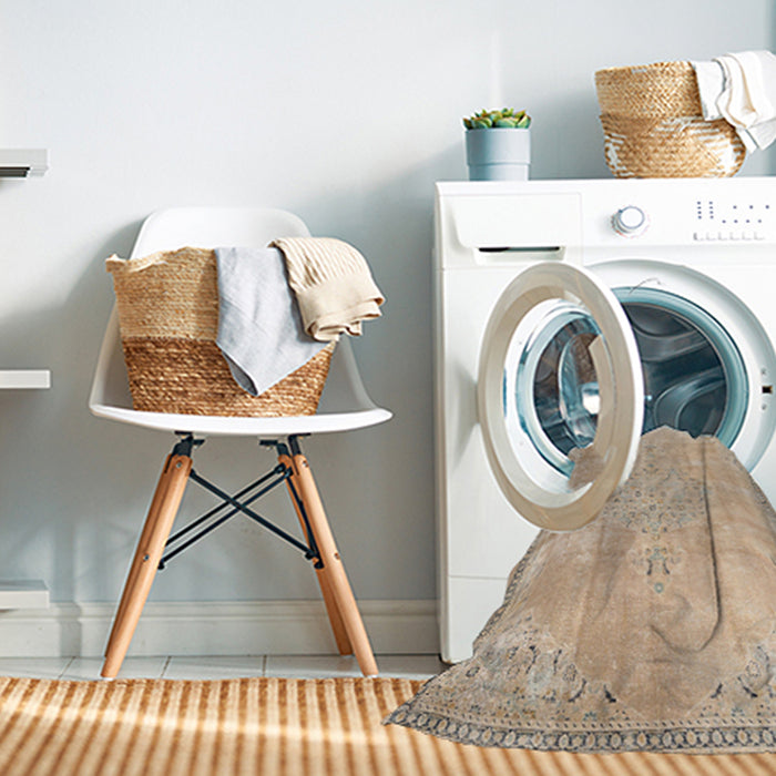 Machine Washable Traditional Brown Rug in a Washing Machine, wshtr3869