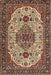 Machine Washable Traditional Brown Green Rug, wshtr386