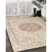 Traditional Deep Peach Orange Persian Rug in Family Room, tr3873