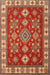 Machine Washable Traditional Red Rug, wshtr387