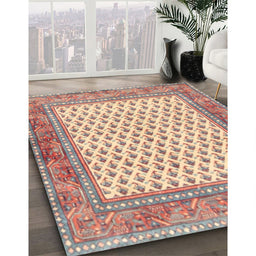 Traditional Copper Red Pink Persian Rug in Family Room, tr3883