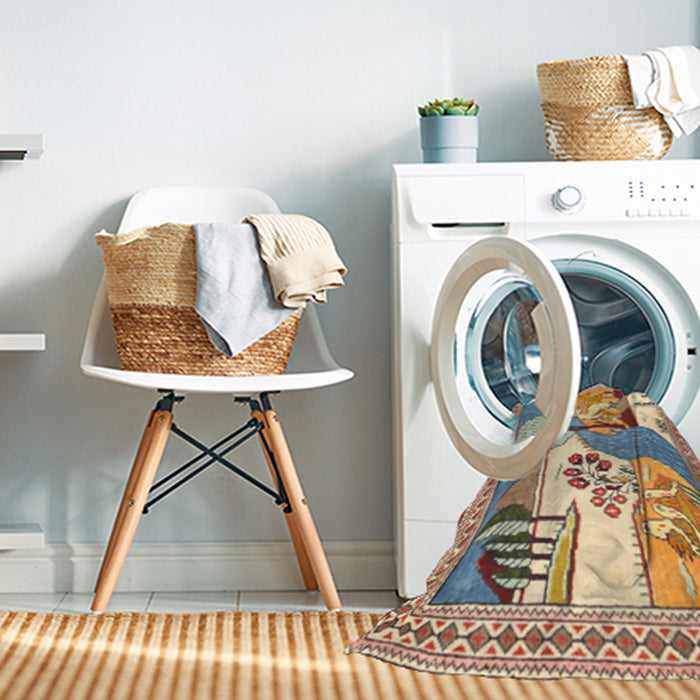 Machine Washable Traditional Gold Brown Rug in a Washing Machine, wshtr3885